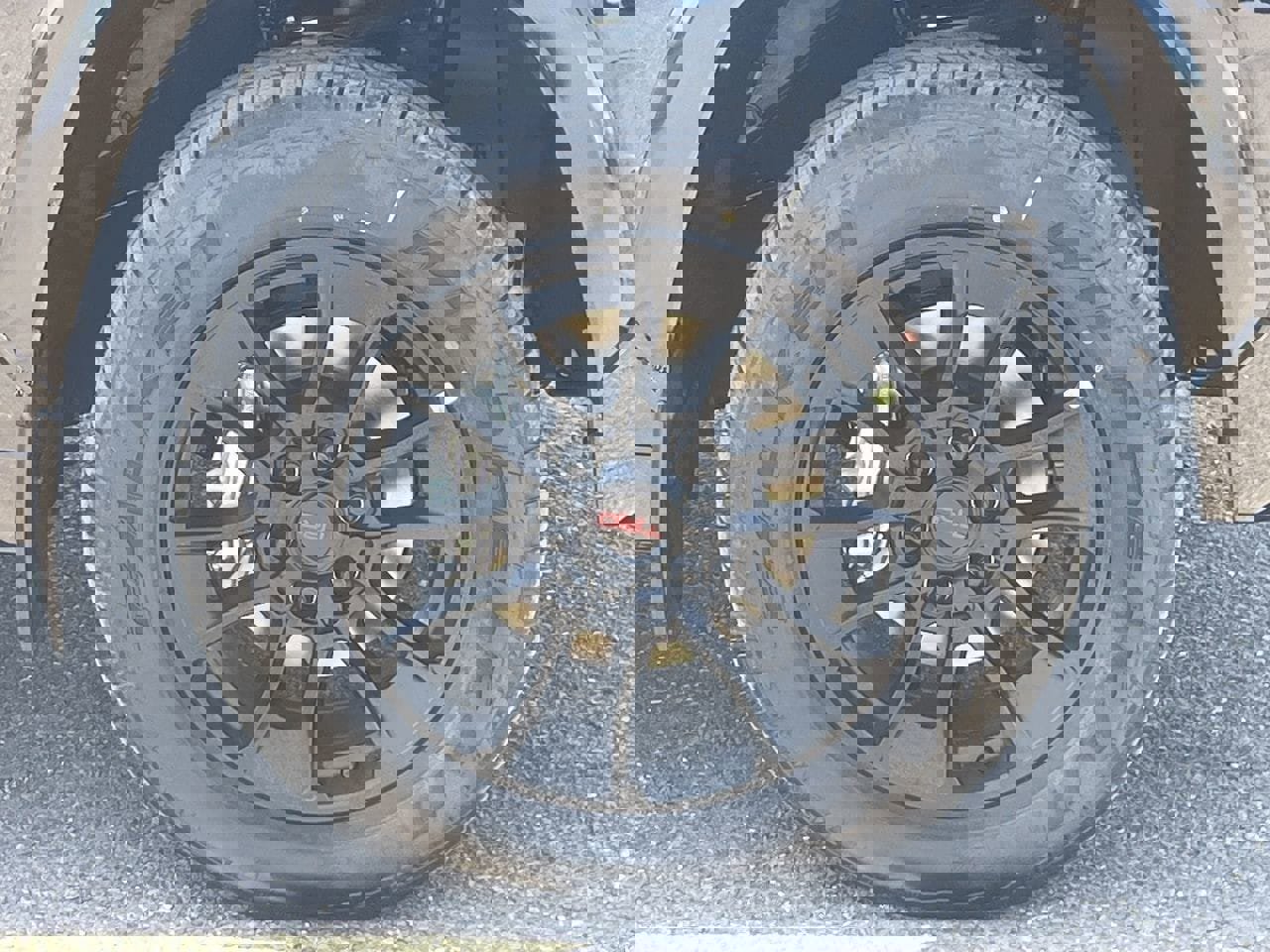 New 2026 Toyota Tundra 1794 Edition image 9