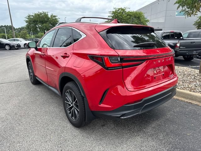 Certified 2024 Lexus NX 350h AWD w/ Cold Area Package image 5