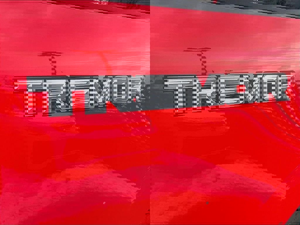 Used 2025 Ford F350 XLT w/ Tremor Off-Road Package image 26