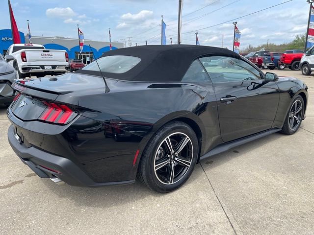 Used 2024 Ford Mustang Premium RWD image 3