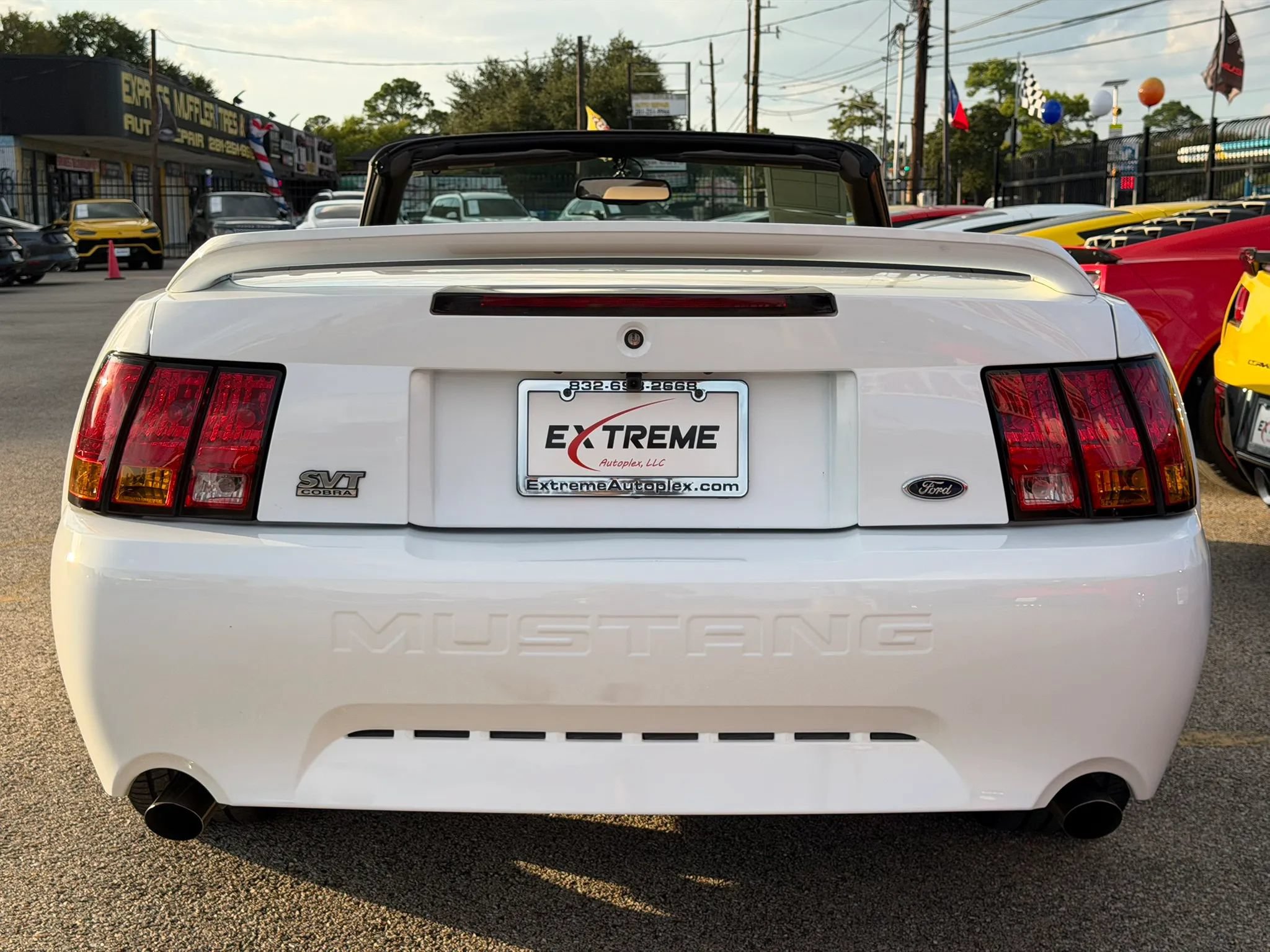 Used 1999 Ford Mustang Cobra RWD image 5