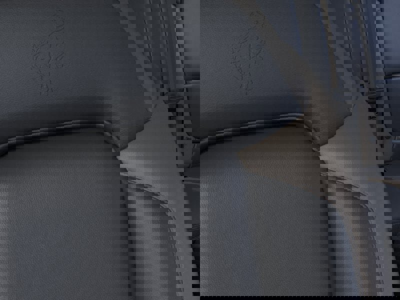 New 2026 Ford Bronco Big Bend w/ Black Diamond Package image 18