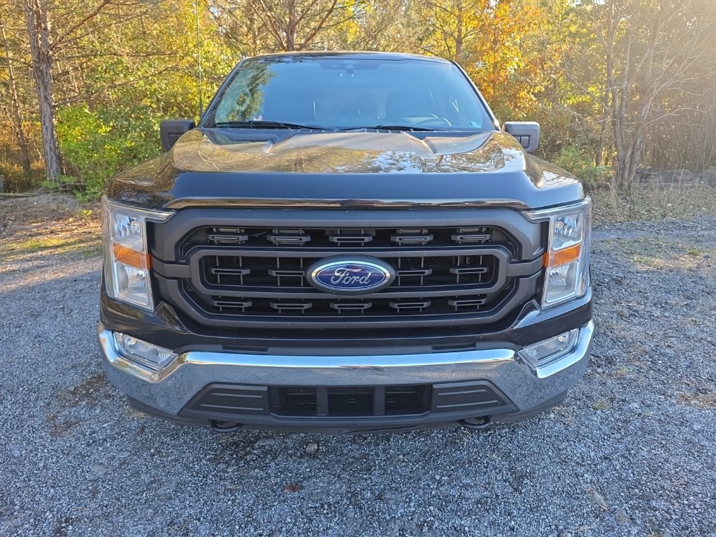 Used 2021 Ford F150 XL w/ FX4 Off-Road Package AWD/4WD image 2