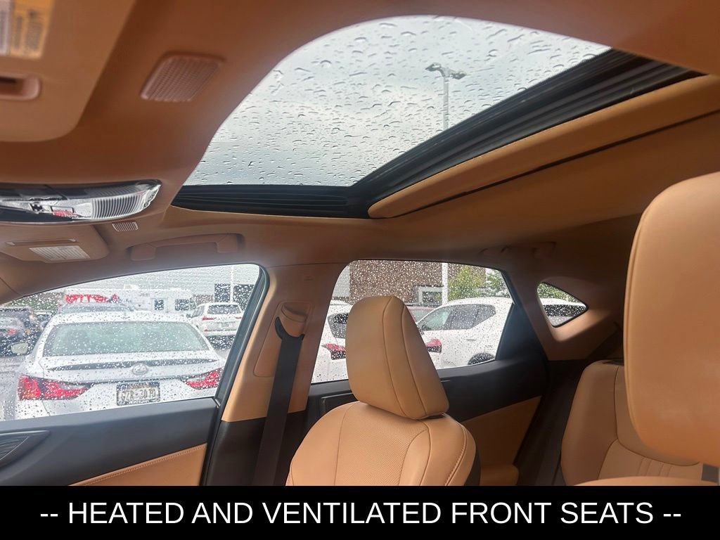 Certified 2026 Lexus NX 350h AWD w/ Cold Area Package image 9