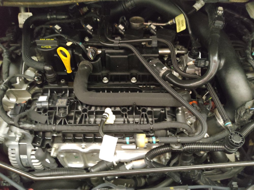 Used 2019 Ford Escape SE FWD image 30