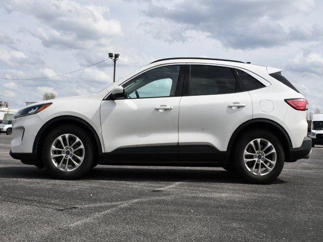 Used 2020 Ford Escape SE image 4