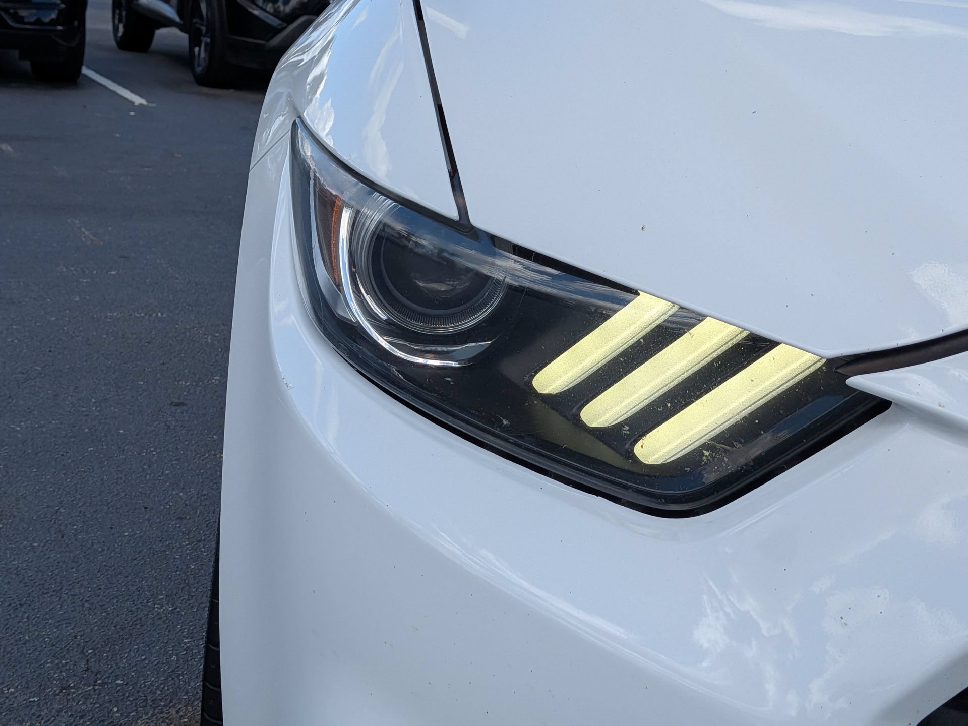 Used 2017 Ford Mustang GT Premium RWD image 11