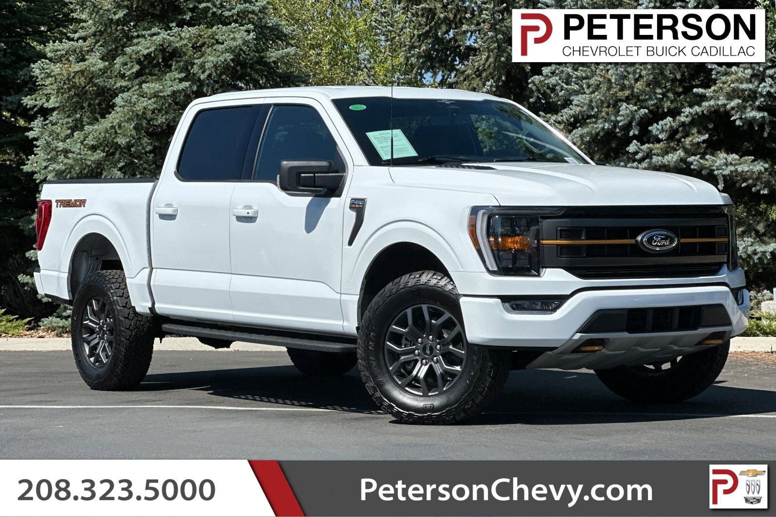 Used 2023 Ford F150 Tremor