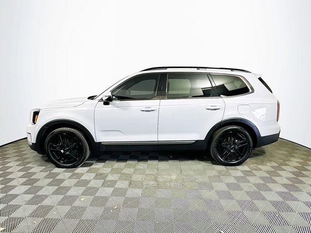 Used 2023 Kia Telluride SX X-Line image 5