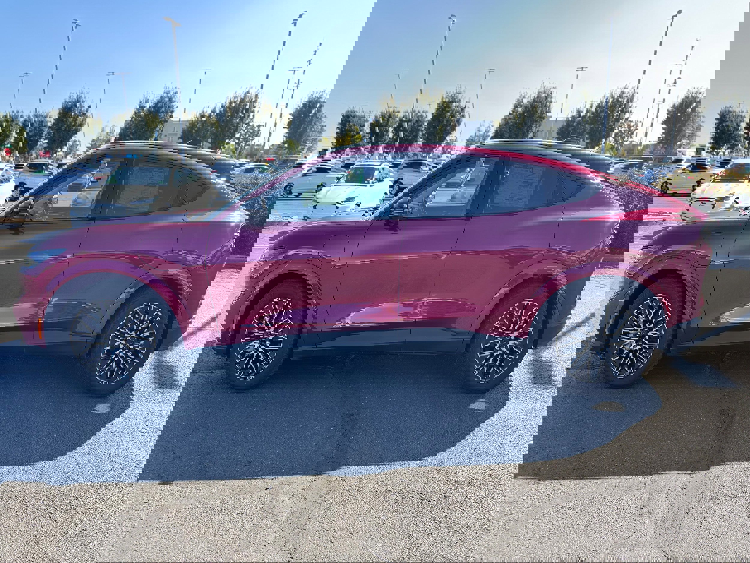 New 2025 Ford Mustang Mach-E Premium w/ Interior Protection Package image 7