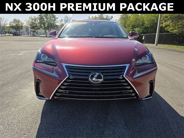 Used 2020 Lexus NX 300h AWD w/ Premium Package image 8