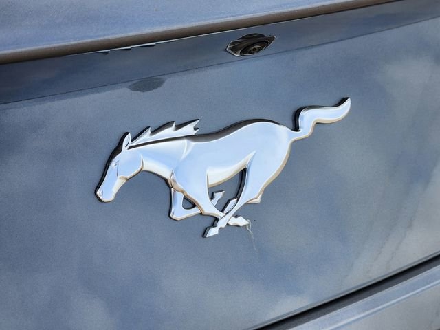 New 2025 Ford Mustang Coupe image 13