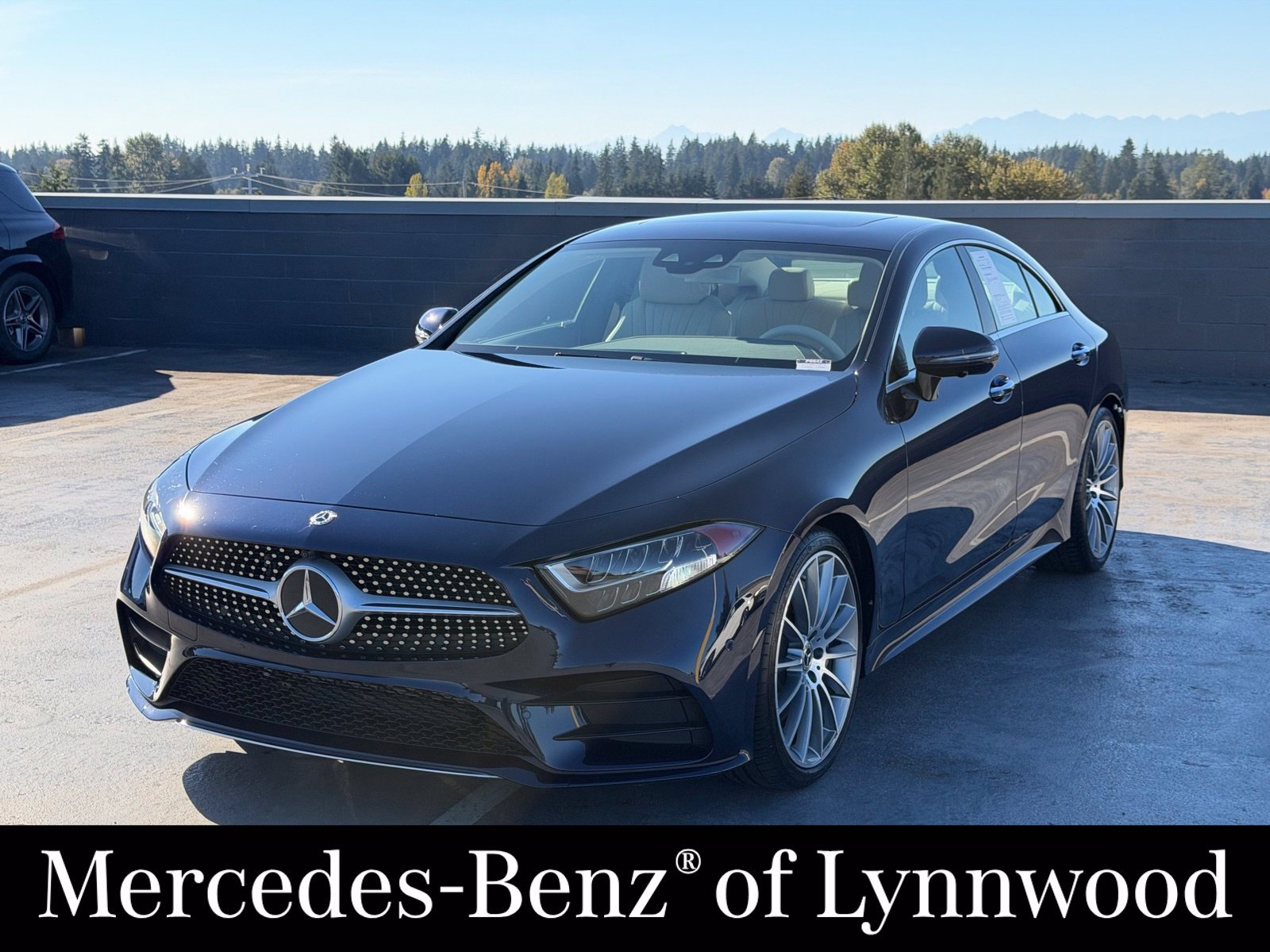 Used 2019 Mercedes-Benz CLS 450 image 1