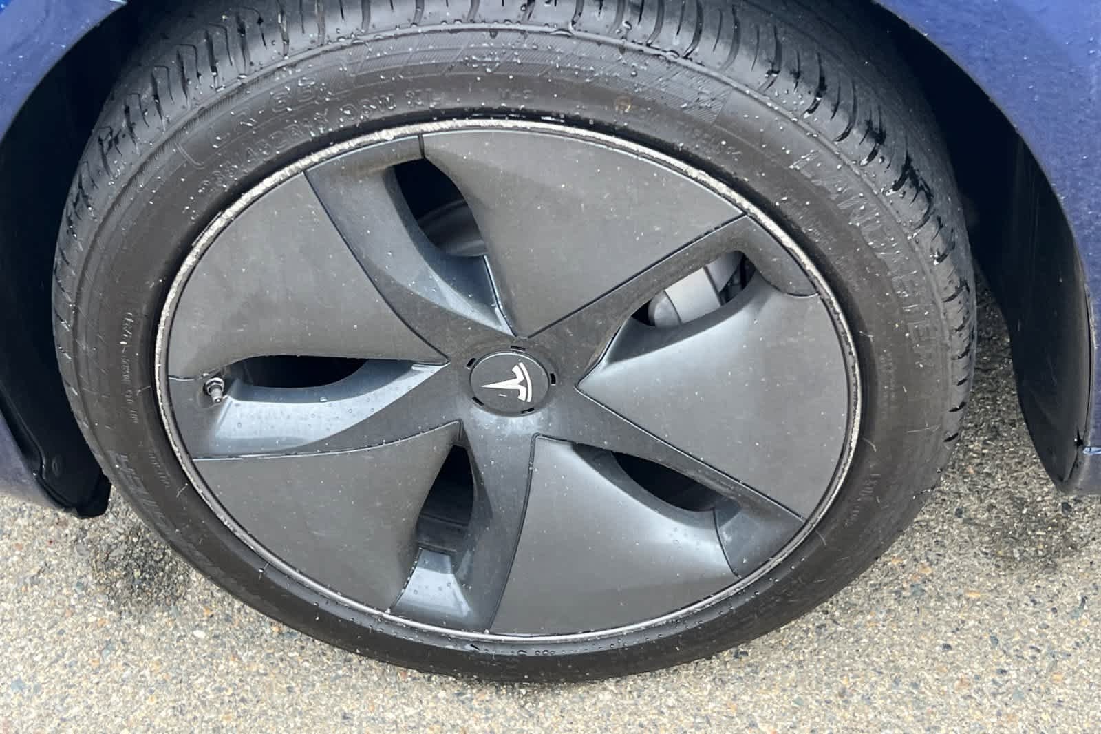 Used 2019 Tesla Model 3 Standard Range RWD image 10