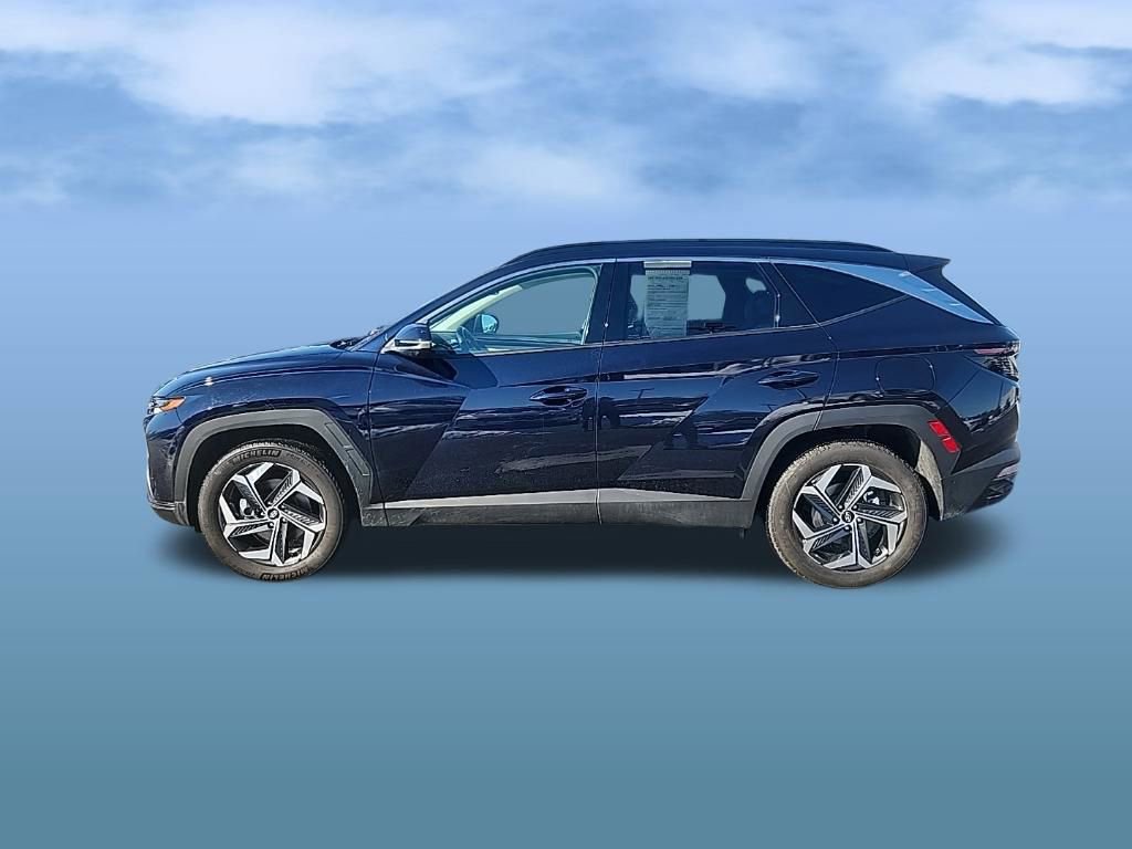 Certified 2023 Hyundai Tucson Limited image 4