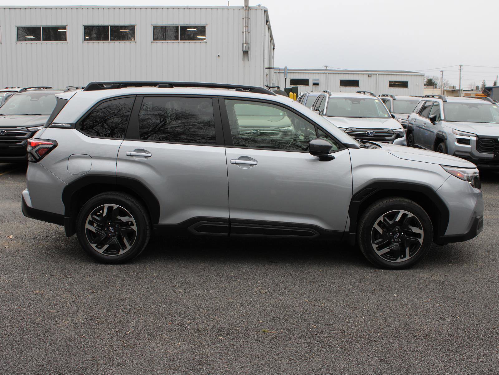 Used 2025 Subaru Forester Limited image 4