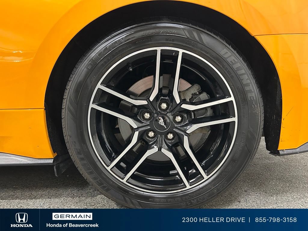 Used 2019 Ford Mustang GT Premium w/ Equipment Group 401A RWD image 14