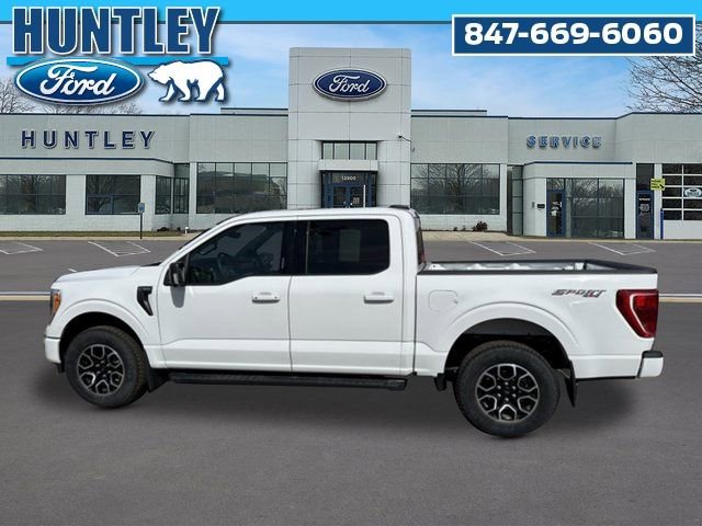 Used 2023 Ford F150 XLT w/ Equipment Group 302A High image 7