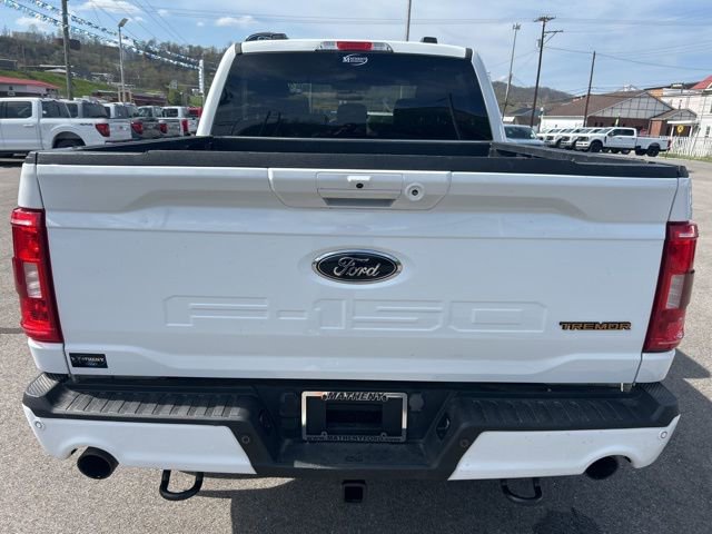 Used 2023 Ford F150 Tremor image 10