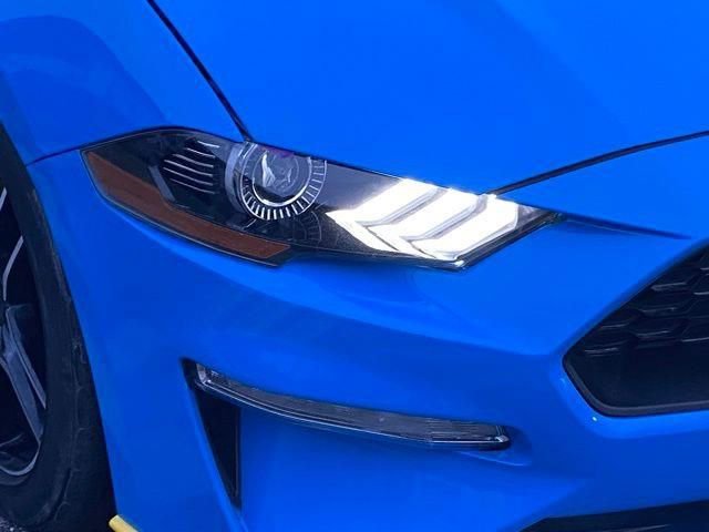 Used 2022 Ford Mustang Coupe w/ Equipment Group 101A RWD image 8