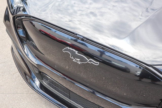 Used 2021 Ford Mustang Mach-E Premium RWD image 14