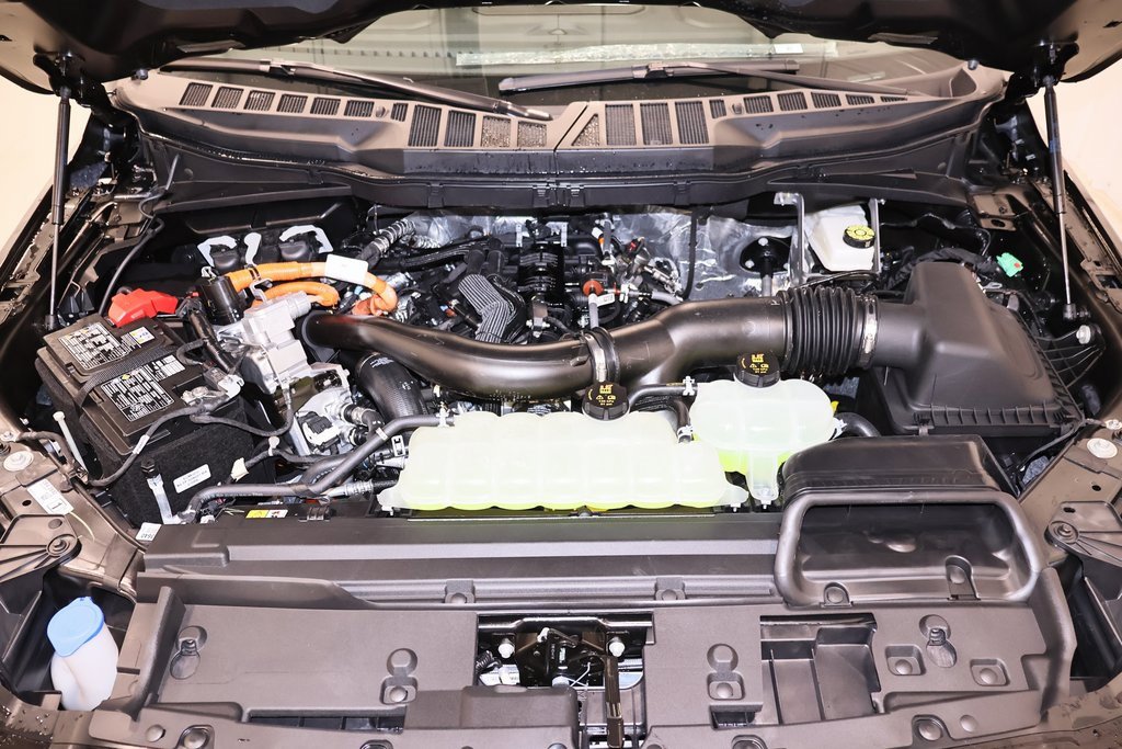 New 2025 Ford F150 XLT w/ Equipment Group 302A MID image 32