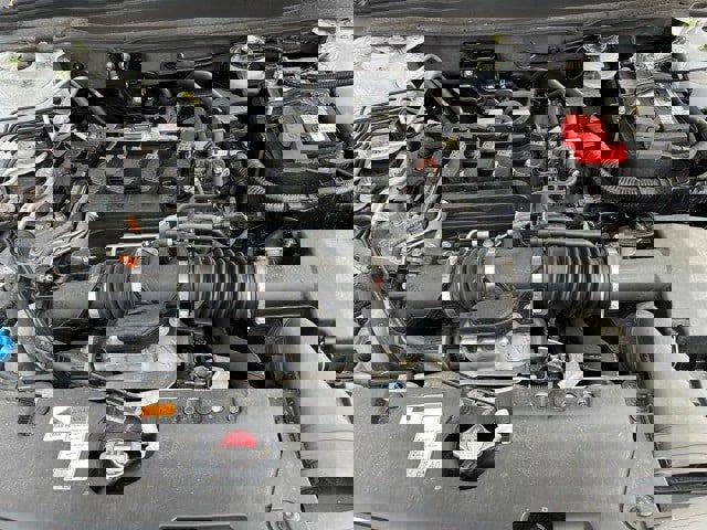 Used 2022 Honda Accord Sport Special Edition image 4