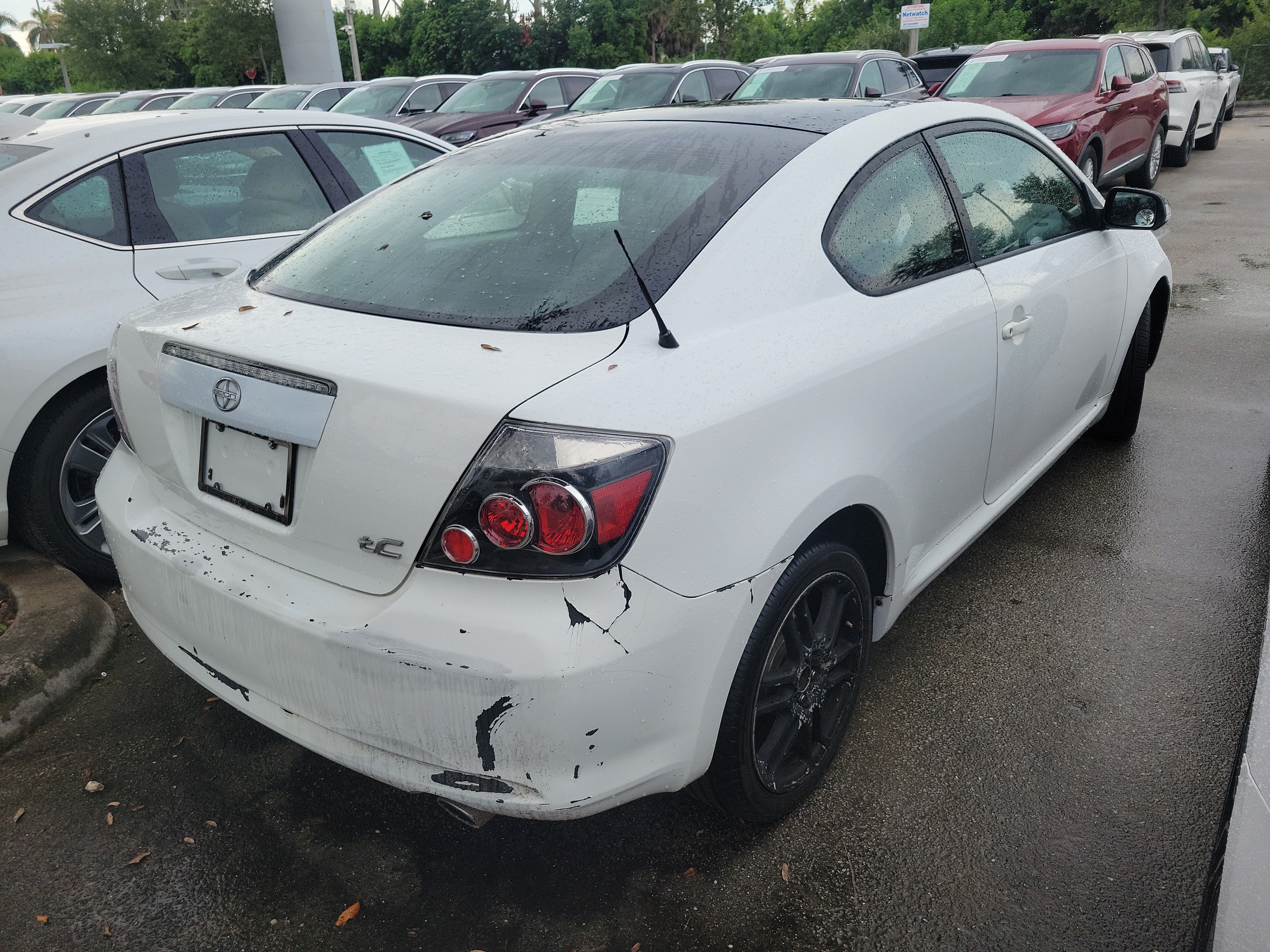 Used 2009 Scion tC FWD image 4