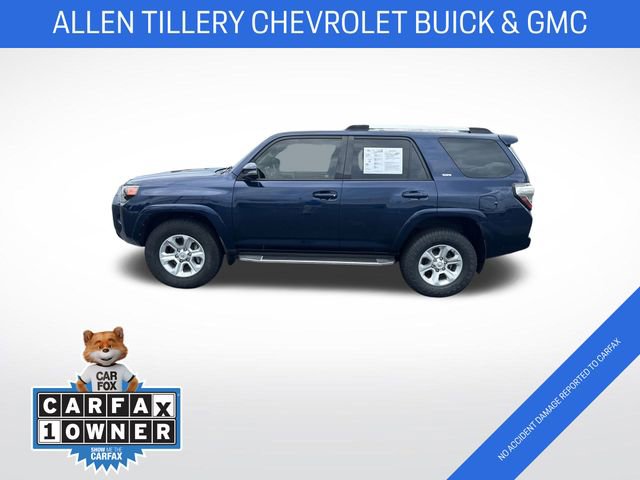 Used 2019 Toyota 4Runner SR5 Premium image 3