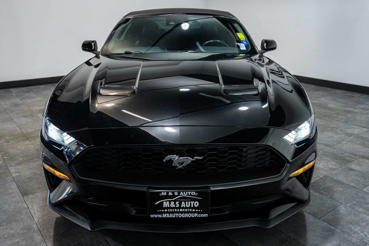 Used 2023 Ford Mustang Premium RWD image 7