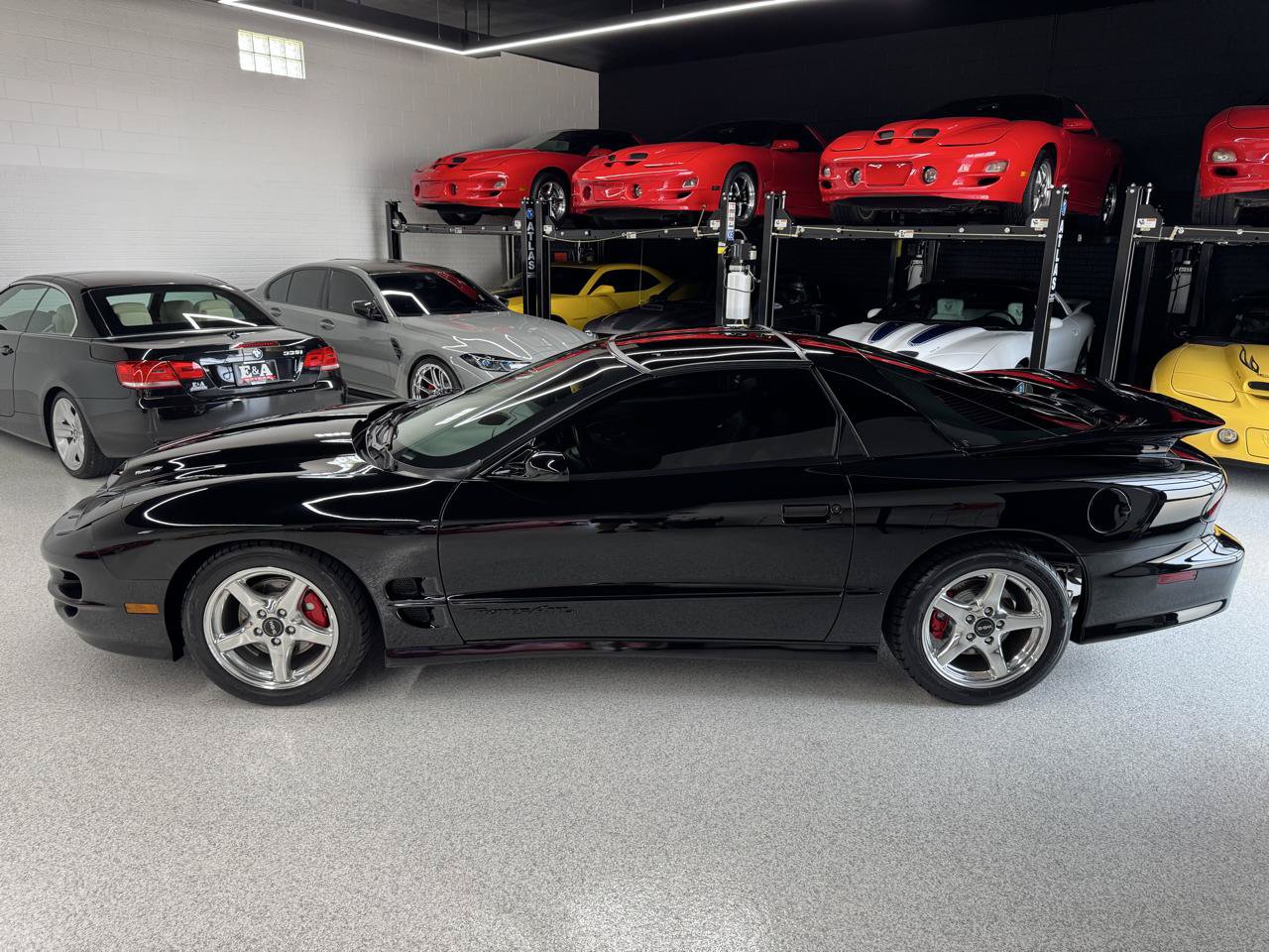 Used 2001 Pontiac Firebird Trans Am w/ SLP Firehawk Pkg RWD image 9