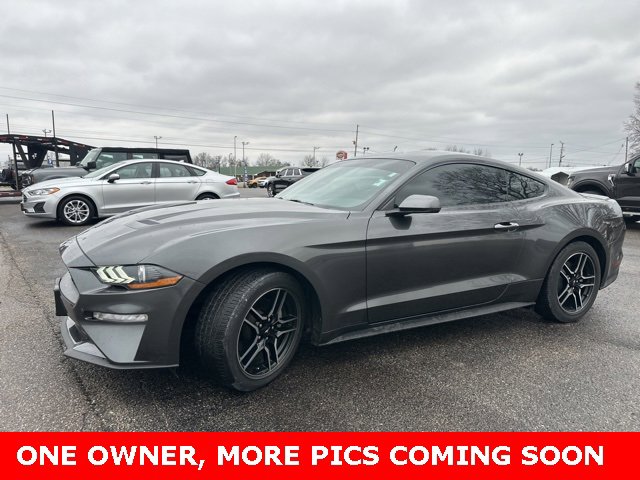 Used 2019 Ford Mustang Premium w/ Equipment Group 201A image 1