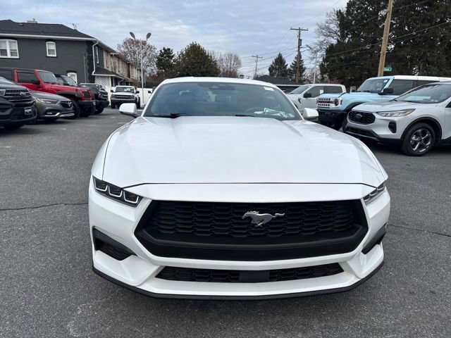 Used 2024 Ford Mustang Premium image 8