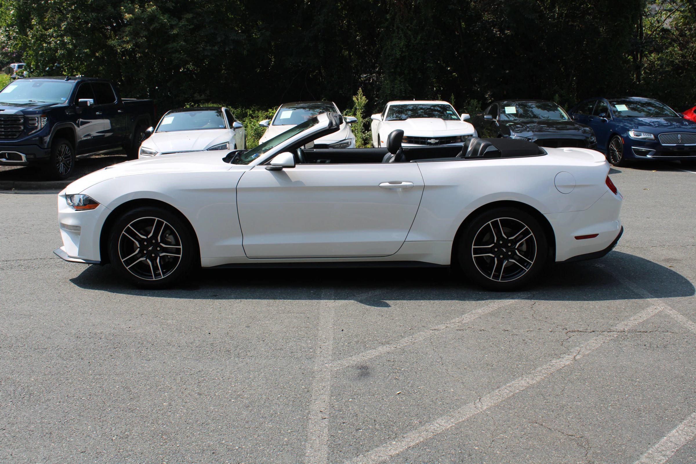 Used 2022 Ford Mustang Premium RWD image 30