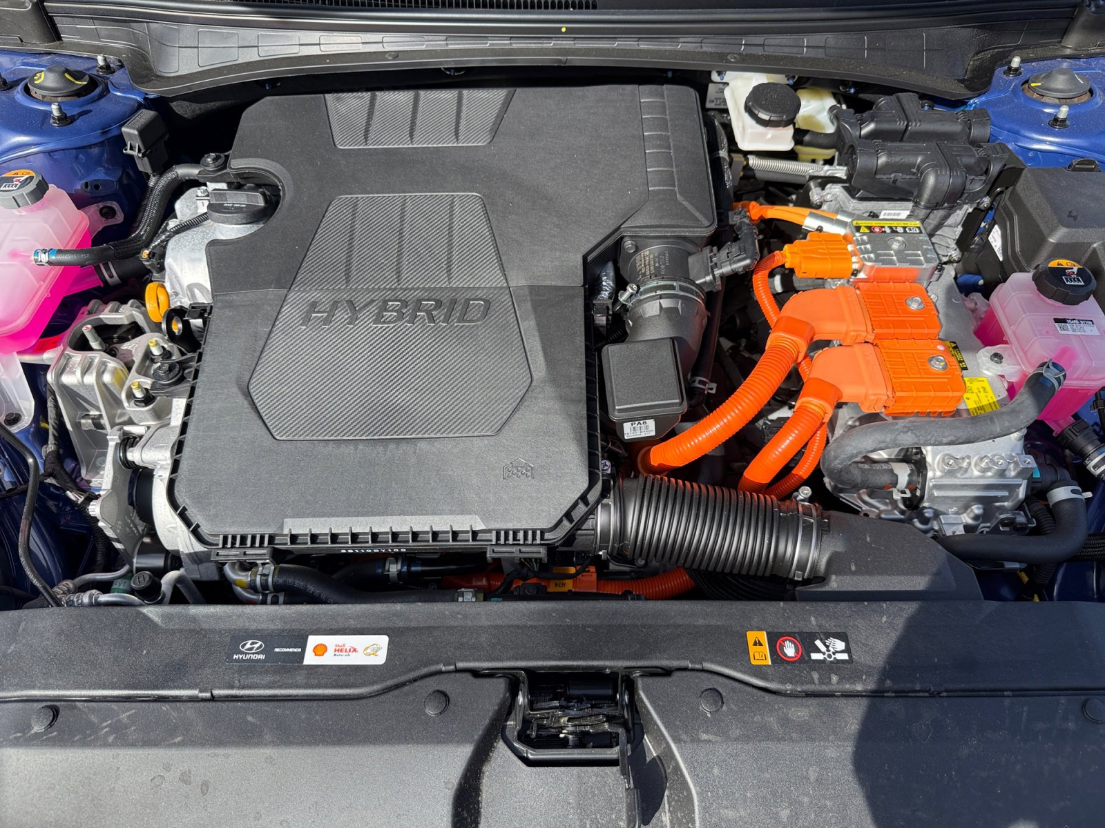 New 2025 Hyundai Elantra Limited image 20