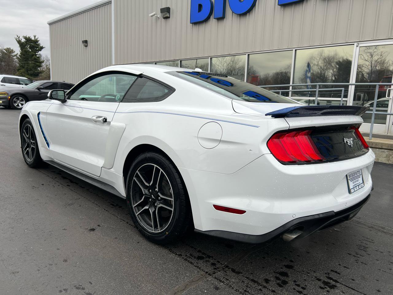 Used 2019 Ford Mustang Premium image 3