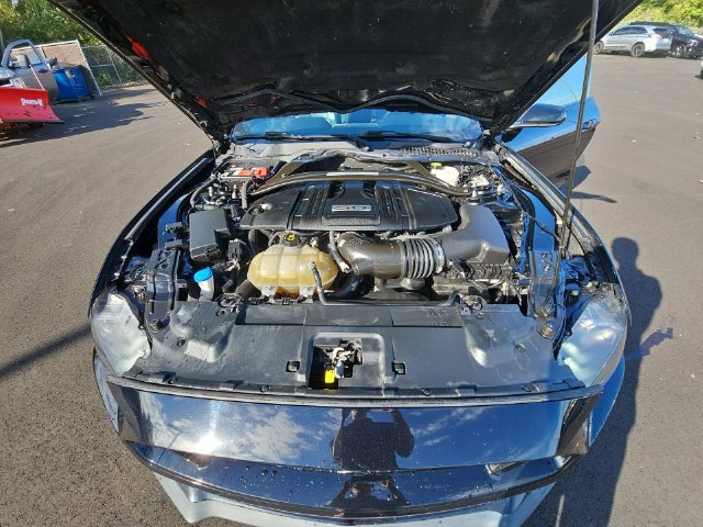 Used 2021 Ford Mustang GT Premium RWD image 39