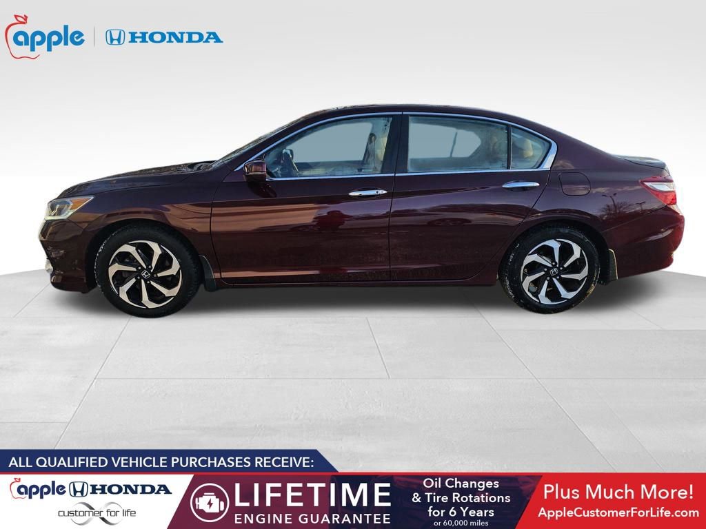 Used 2017 Honda Accord EX-L image 8