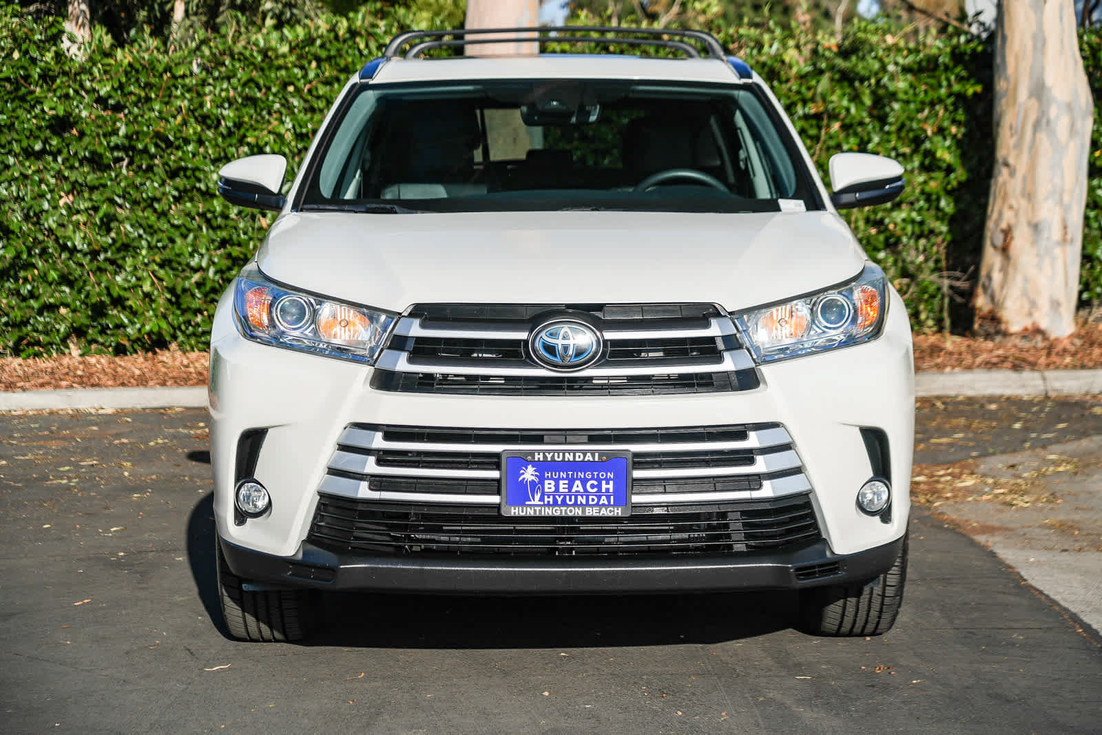 Used 2019 Toyota Highlander XLE w/ Carpet Mat Package (TMS) AWD/4WD image 4