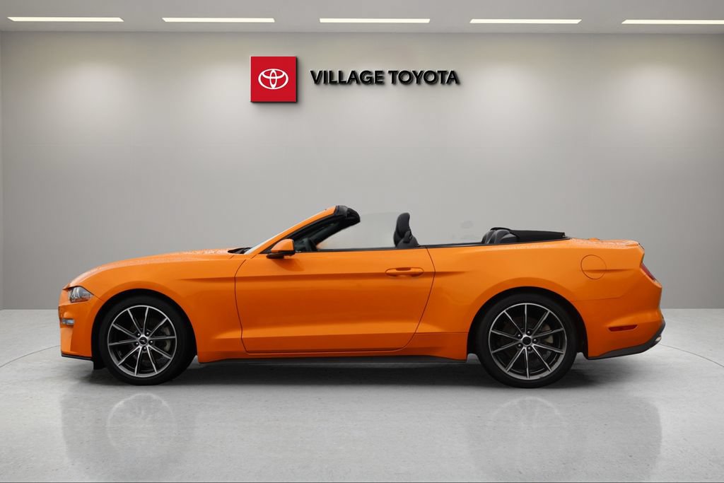 Used 2019 Ford Mustang Premium w/ Equipment Group 201A RWD image 3