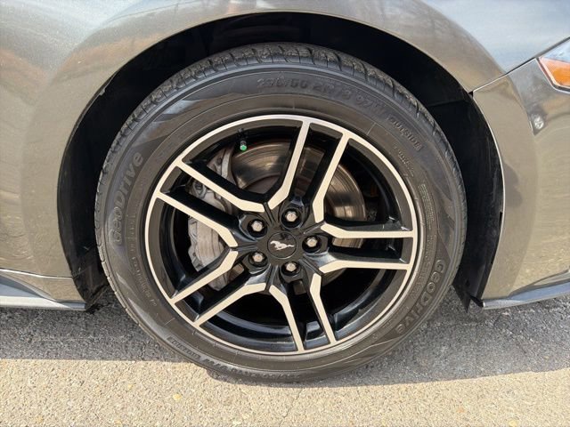 Used 2019 Ford Mustang GT Premium w/ Equipment Group 401A image 10