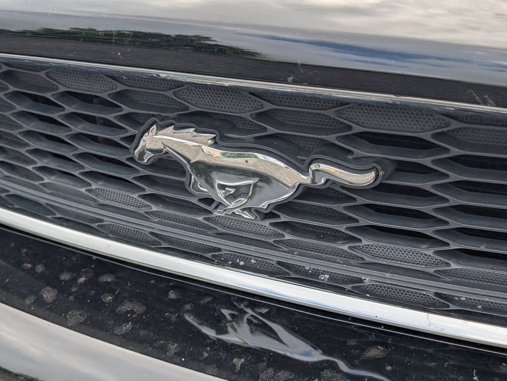 Used 2014 Ford Mustang Coupe RWD image 20