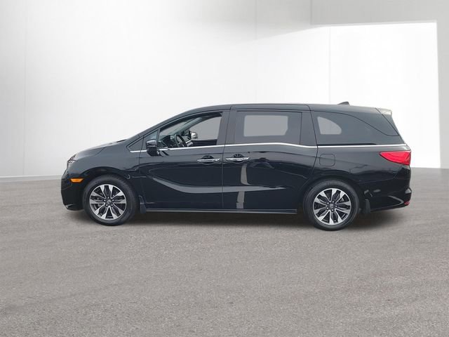 Used 2024 Honda Odyssey EX-L image 5