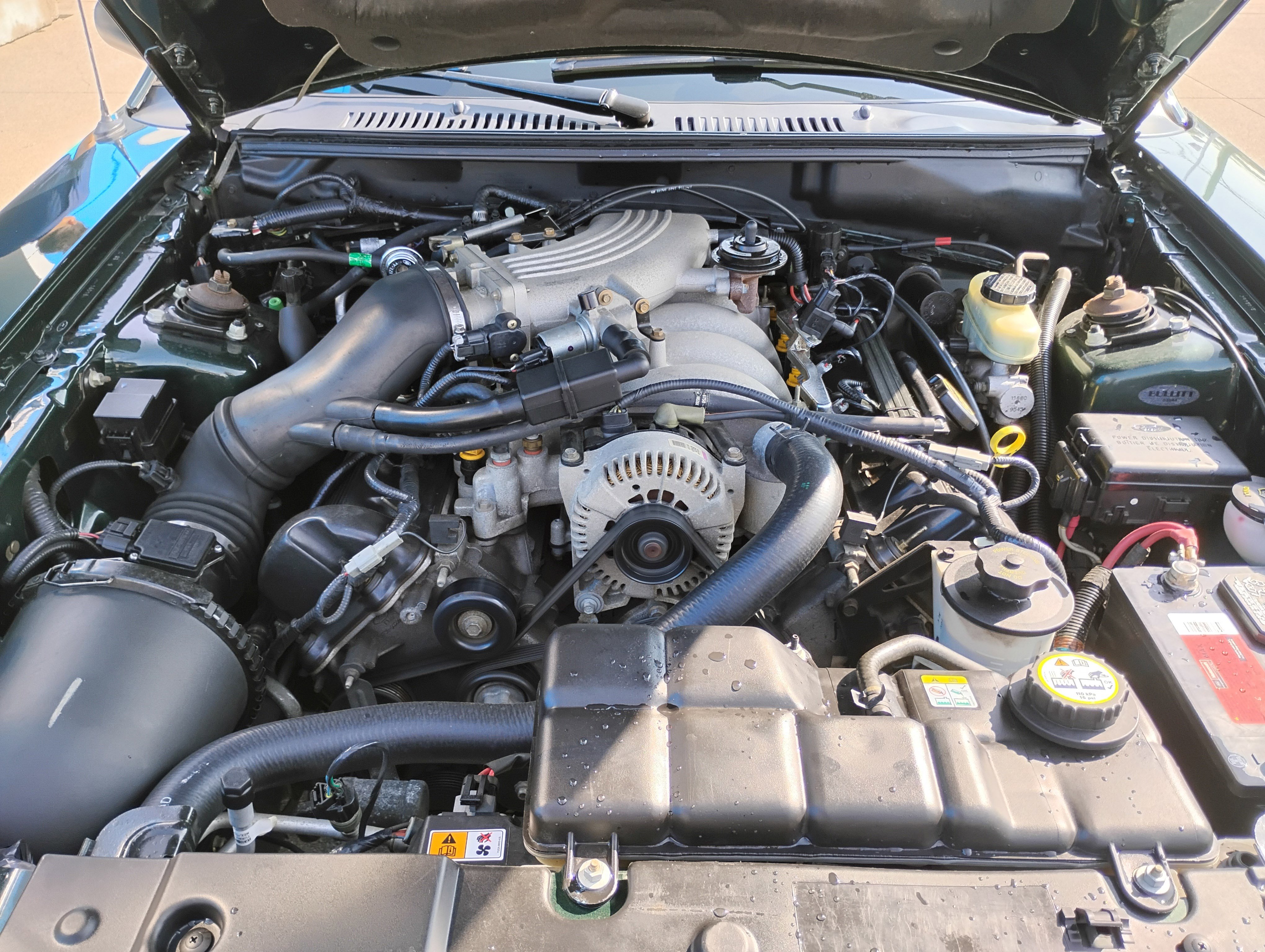 Used 2001 Ford Mustang Bullitt image 31