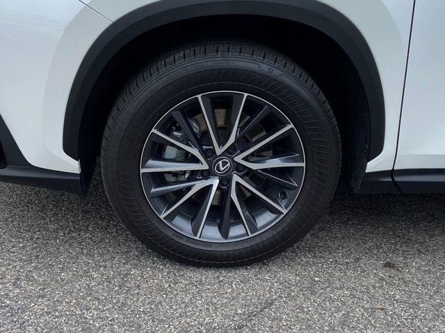 Used 2024 Lexus NX 350 AWD w/ Cold Area Package image 11