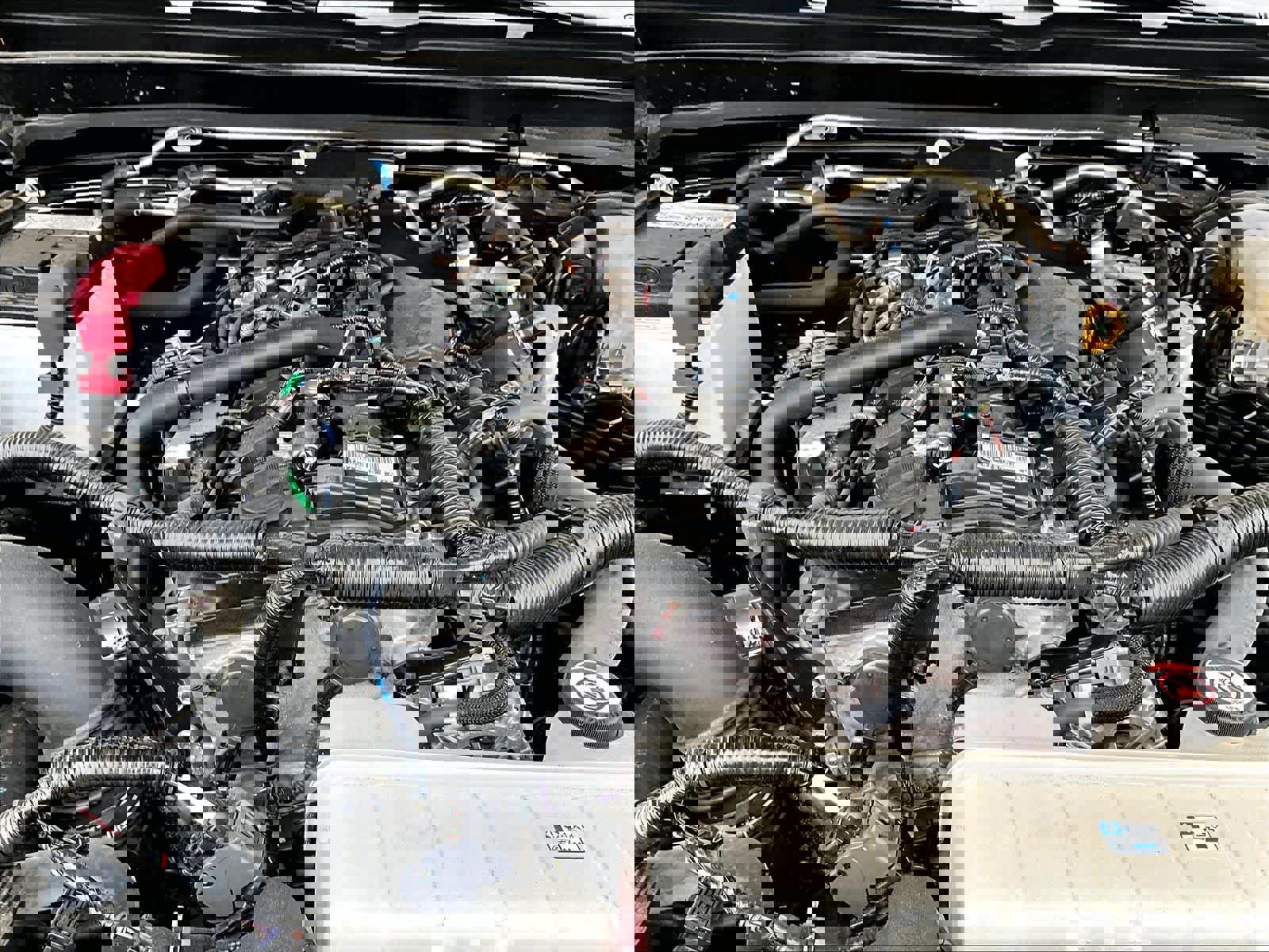 Used 2025 Toyota Tacoma Limited image 35