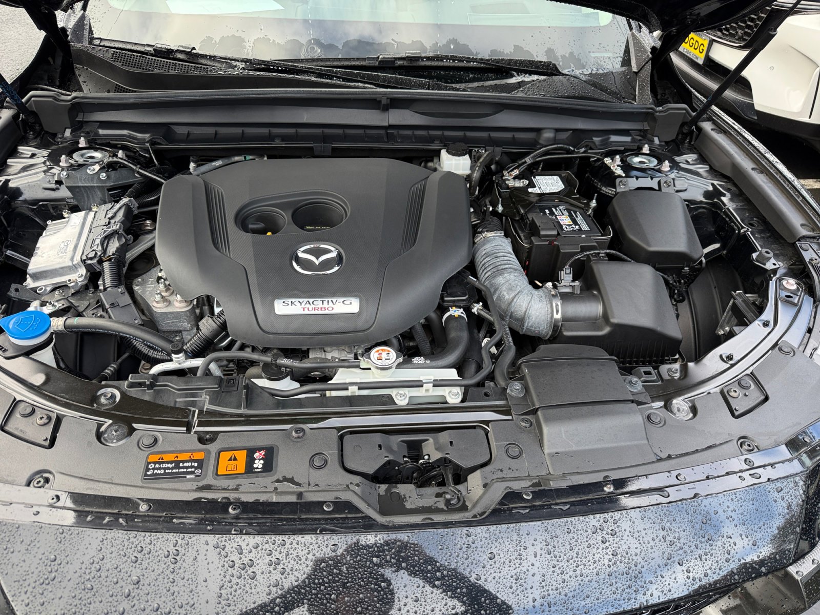 Certified 2024 MAZDA CX-50 2.5 Turbo w/ Cargo Package image 20