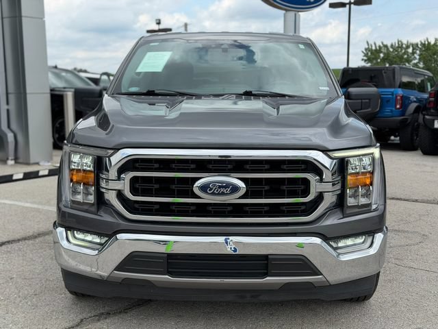 Used 2021 Ford F150 XLT w/ Equipment Group 302A High RWD image 2
