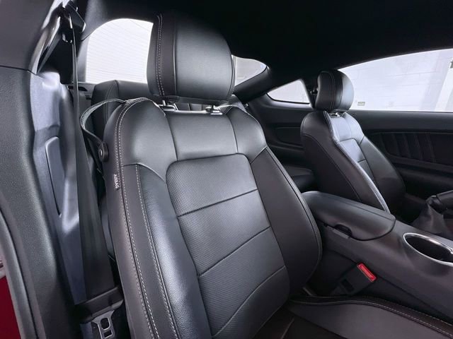 Used 2023 Ford Mustang GT Premium w/ Mustang Nite Pony Package image 24