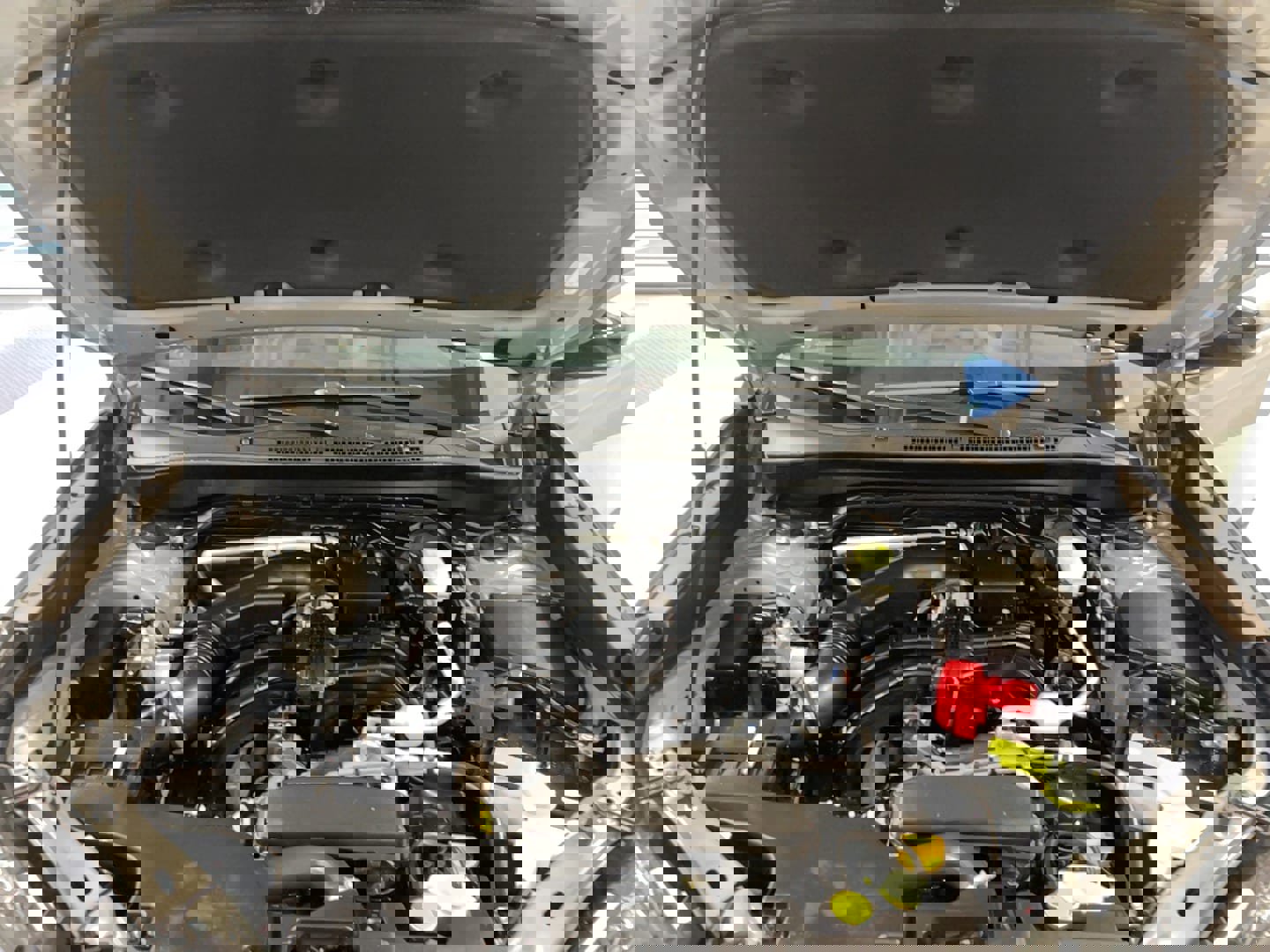 Used 2025 Subaru Forester Touring image 26